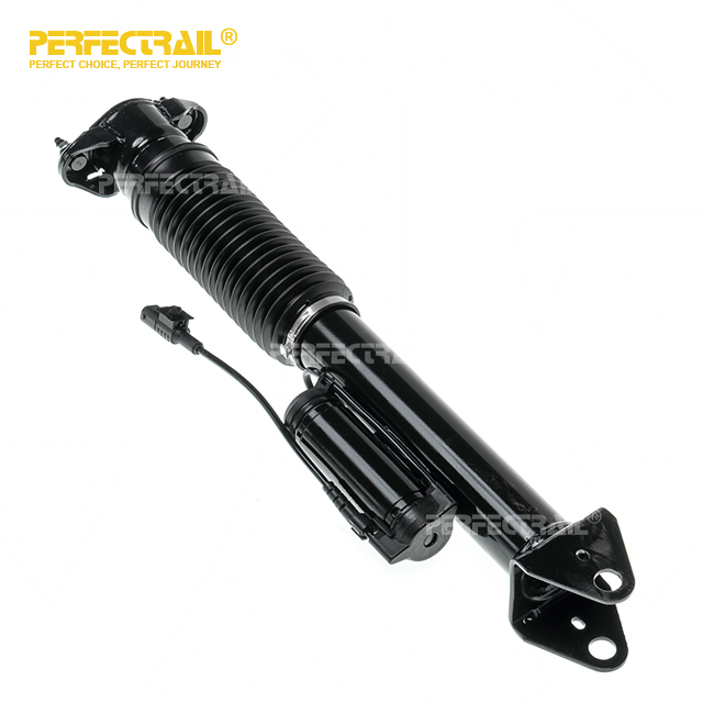 1663200130 Rear Air Suspension Shock Strut For Mercedes Benz GLE W166
