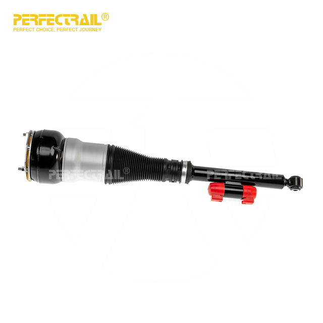 2223205313 2223205213 Rear Air Suspension Shock Strut For Mercedes Benz S-Class W222