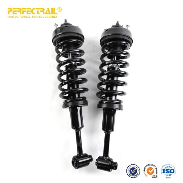 PERFECTRAIL® 171398 Auto Strut and Coil Spring Assembly For Ford Explorer 2004-2005