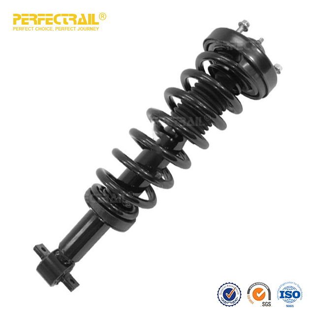 PERFECTRAIL® 173031L 173031R Auto Strut and Coil Spring Assembly For Ford F150 2015-2017
