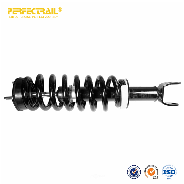 PERFECTRAIL® 171111 Auto Strut and Coil Spring Assembly For Dodge Ram 1500 2006-2008