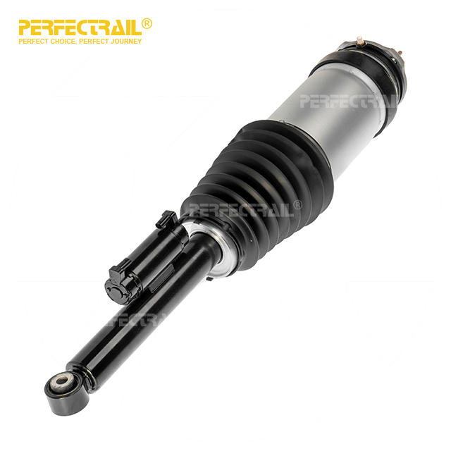 1027067-00-C 1027067-00-D Rear Air Shock Absorber Assembly For Tesla Model X
