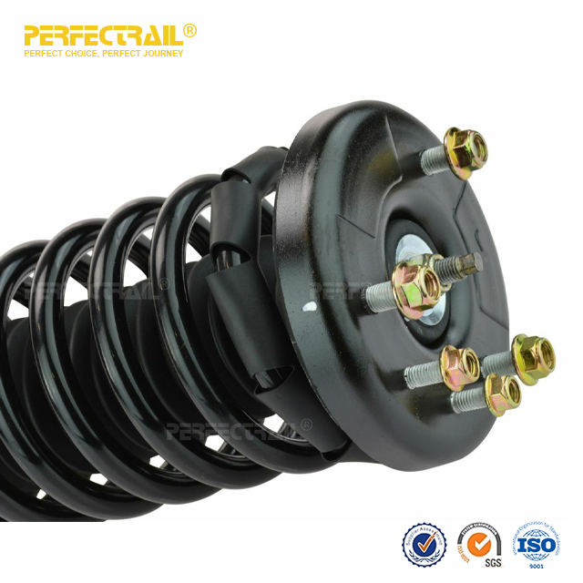 PERFECTRAIL® 171691L 171691R Auto Strut and Coil Spring Assembly For Honda Accord 1998-2002