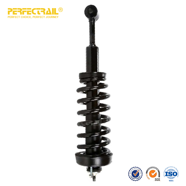 PERFECTRAIL® 171361 171362 Auto Strut and Coil Spring Assembly For Ford F150 2004-2008