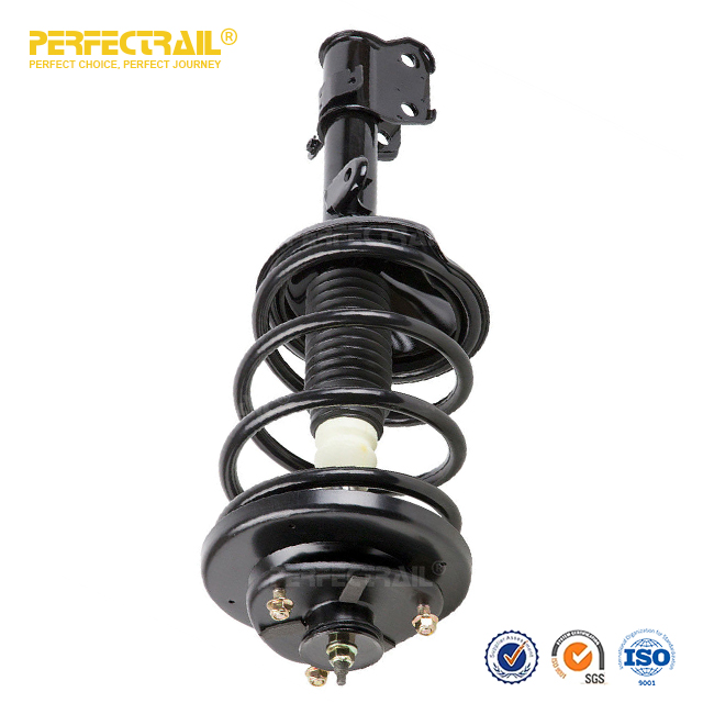 Auto Strut and Coil Spring Assembly For Honda Odyssey