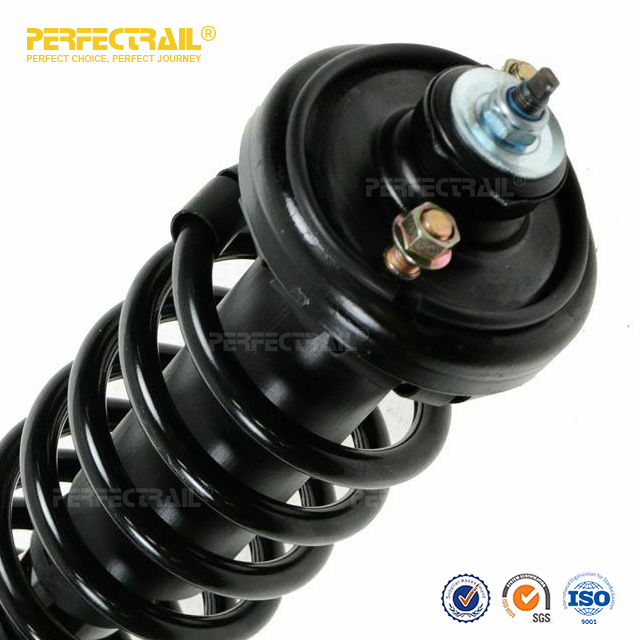 171325 Auto Strut and Coil Spring Assembly For Honda CRV