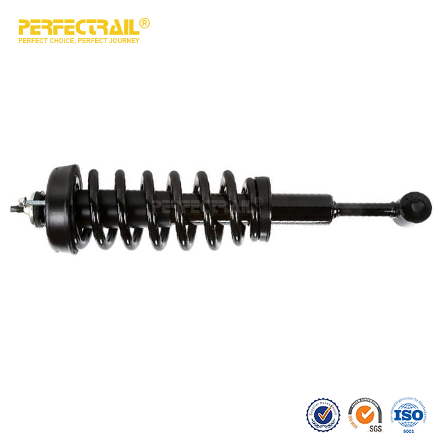 PERFECTRAIL® 171361 171362 Auto Strut and Coil Spring Assembly For Ford F150 2004-2008