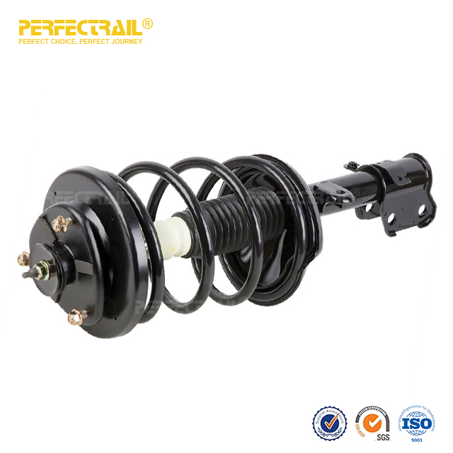 Auto Strut and Coil Spring Assembly For Honda Odyssey