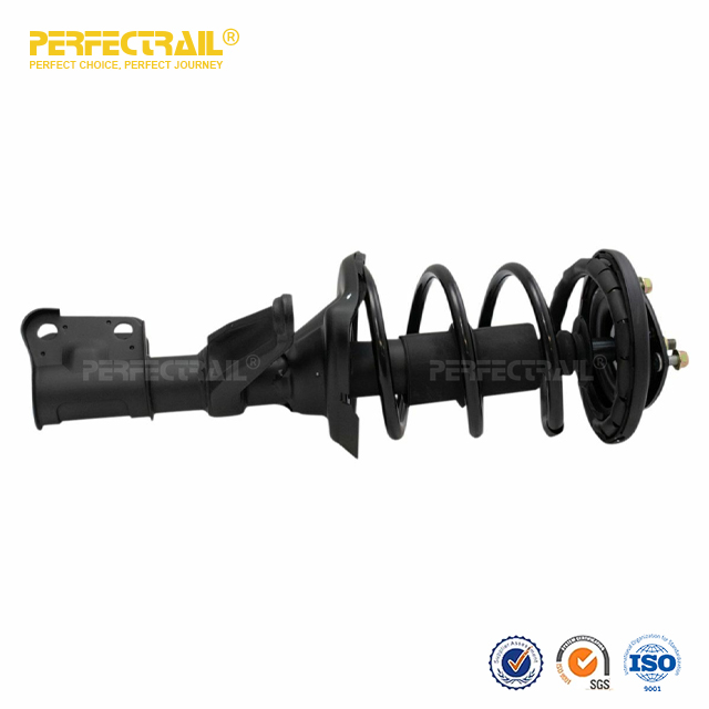 Coil Spring Auto Strut And Coil Spring Assembly For Honda Element