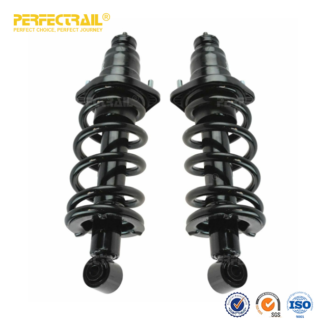 Auto Strut and Coil Spring Assembly For Honda Element 