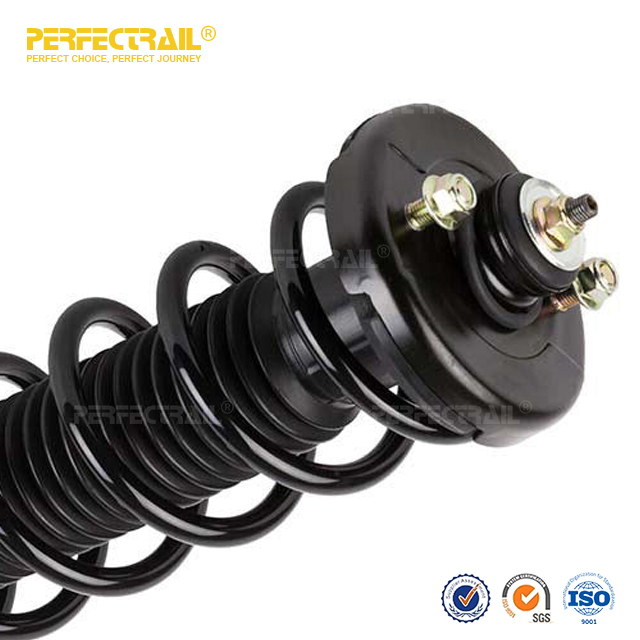 PERFECTRAIL® 171372 Auto Strut and Coil Spring Assembly For Honda Accord 2004-2008