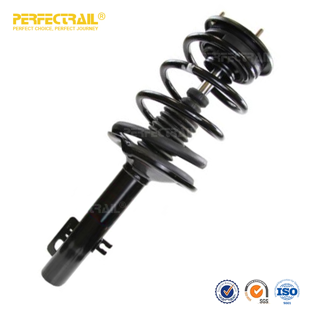 Auto Strut and Coil Spring Assembly For Ford Freestyle