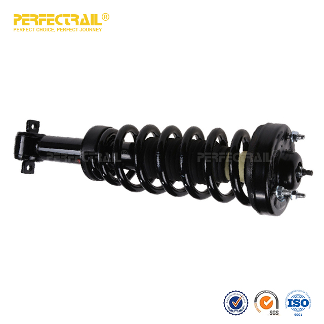 PERFECTRAIL® 172651L 172651R Auto Strut and Coil Spring Assembly For Ford F150 2014-