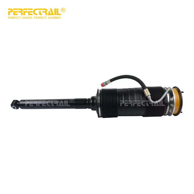 2213208913 Rear Left Air Suspension Strut For Mercedes Benz S-CLASS W221 C216