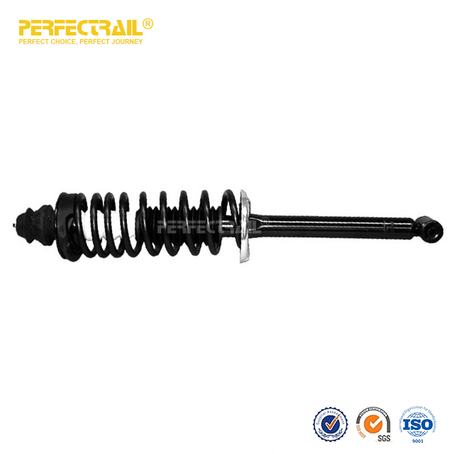 171265 Auto Front Suspension Strut and Coil Spring Assembly For Volkswagen