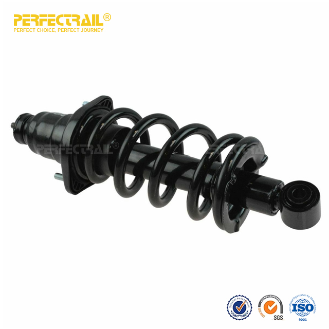 Auto Strut and Coil Spring Assembly For Honda Element 
