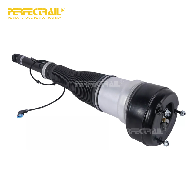 2213205513 Rear Left Air Suspension Strut For Mercedes Benz S-CLASS W221