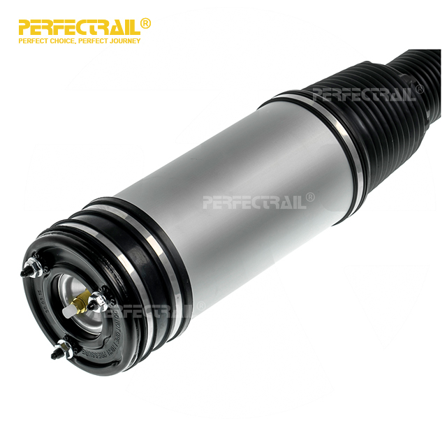 2203205013 Rear Air Suspension Shock Absorber For Mercedes Benz S-CLASS W220